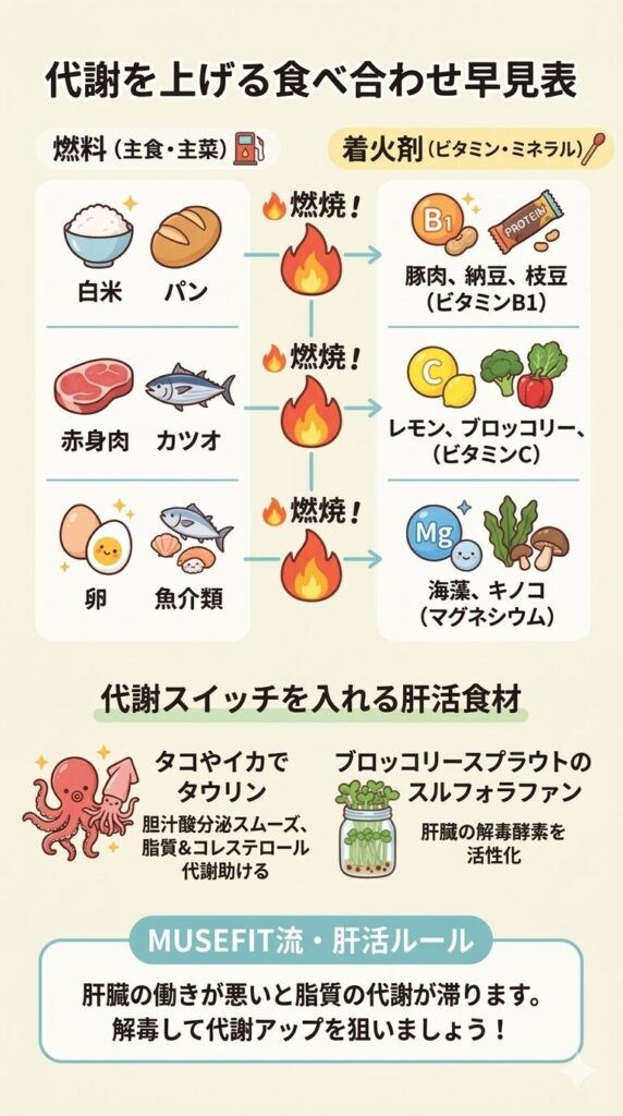 管理栄養士が教える、代謝を上げる食べ合わせ早見表。ダイエットに効果的な食事ルール