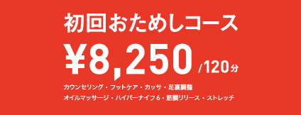 お試しコース　￥8,250