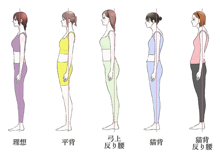 ミューズ・フィット体験レッスン